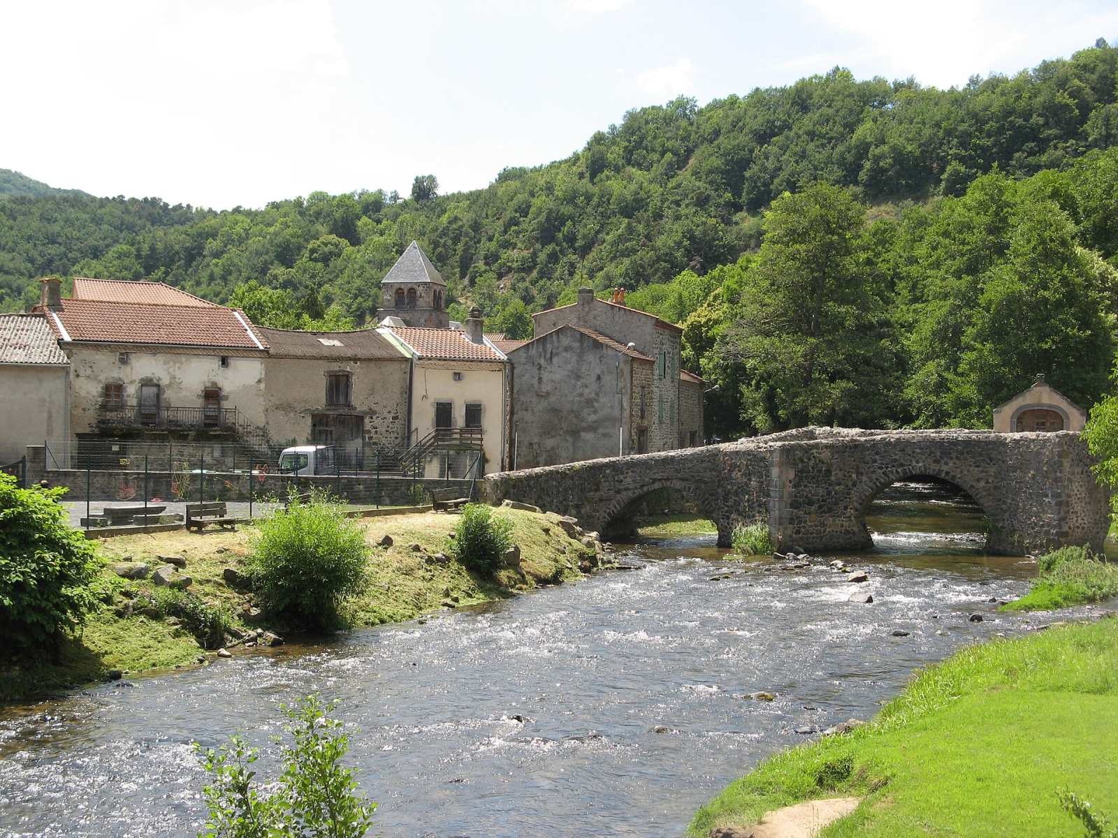 Photo de Saurier