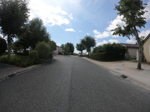 Photo de Sauternes
