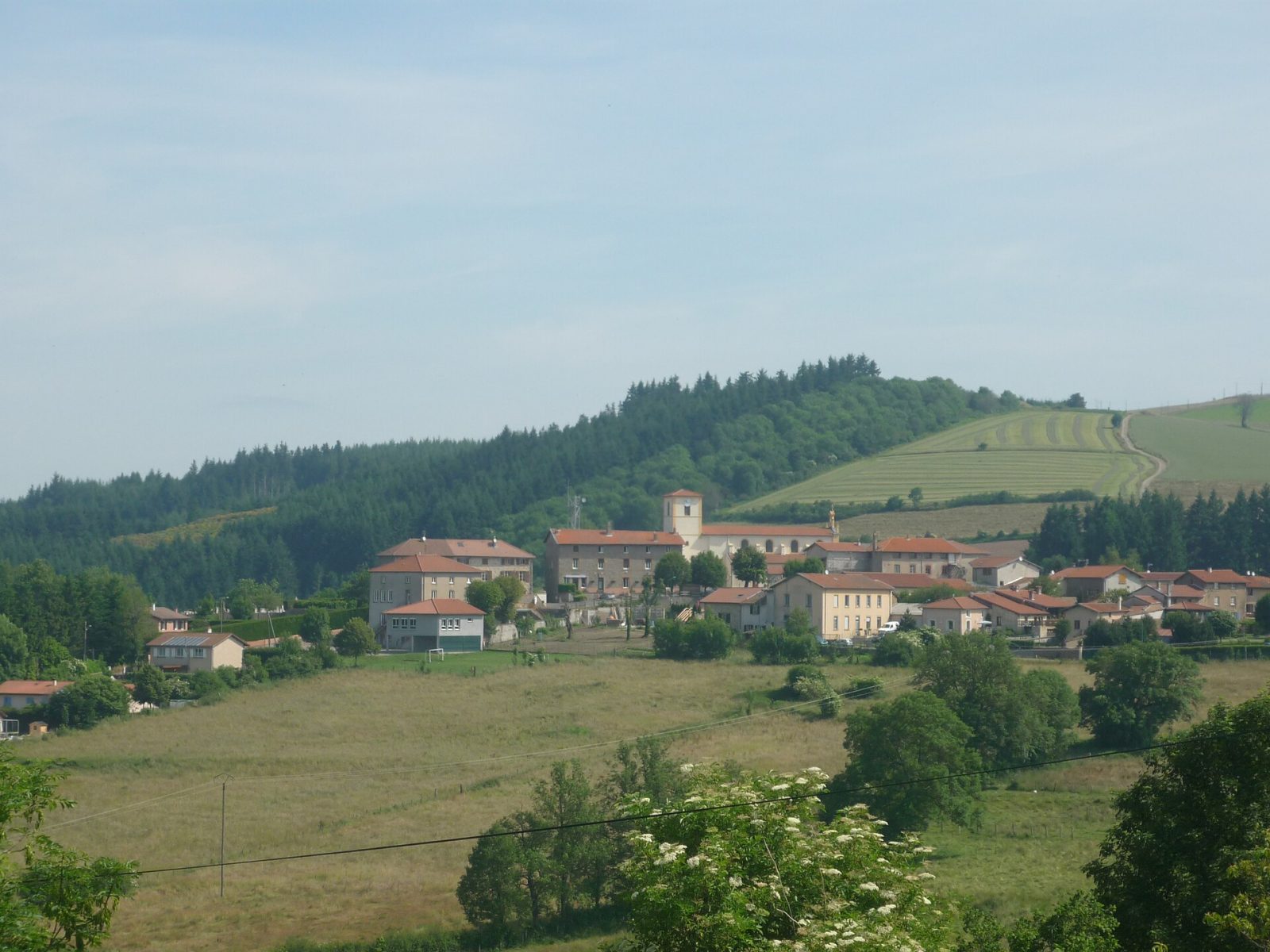 Photo de Sauvages
