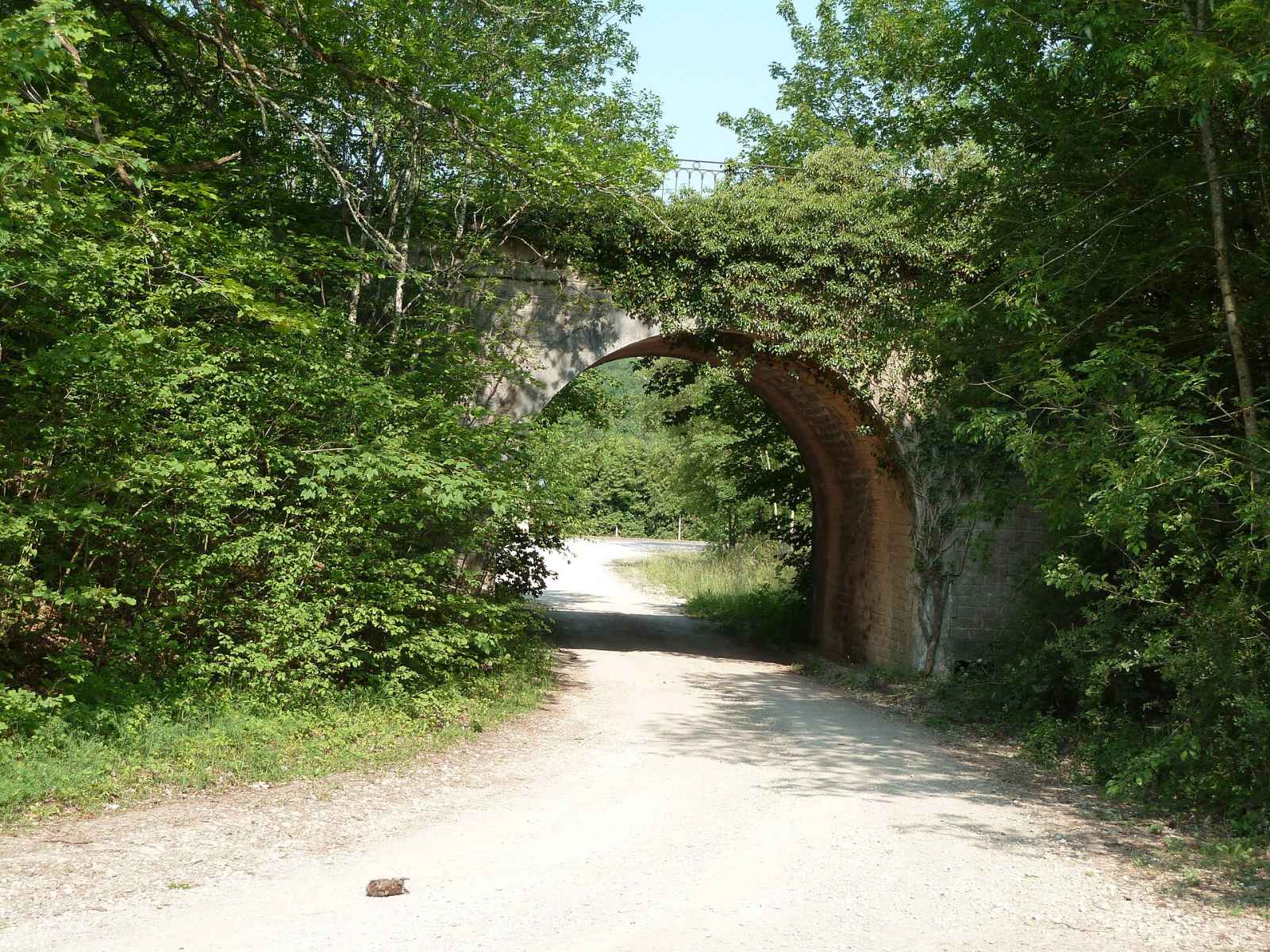 Photo de Sauvoy