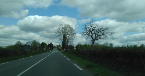 Photo de Scillé
