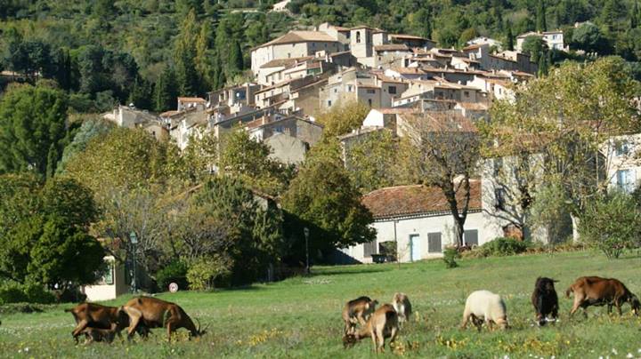 Photo de Seillans