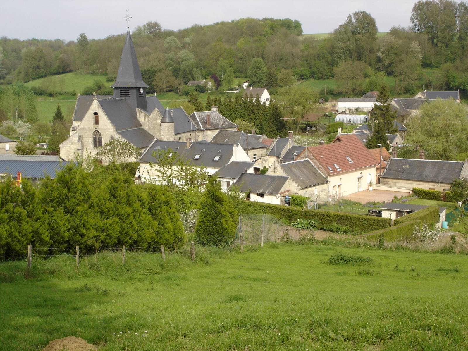 Photo de Selens