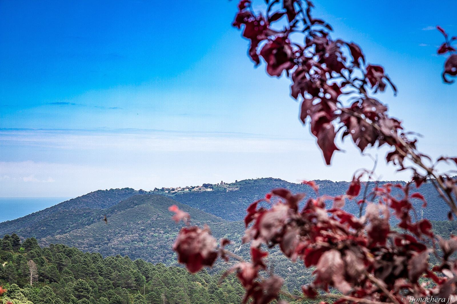 Photo de Serra-di-Fiumorbo