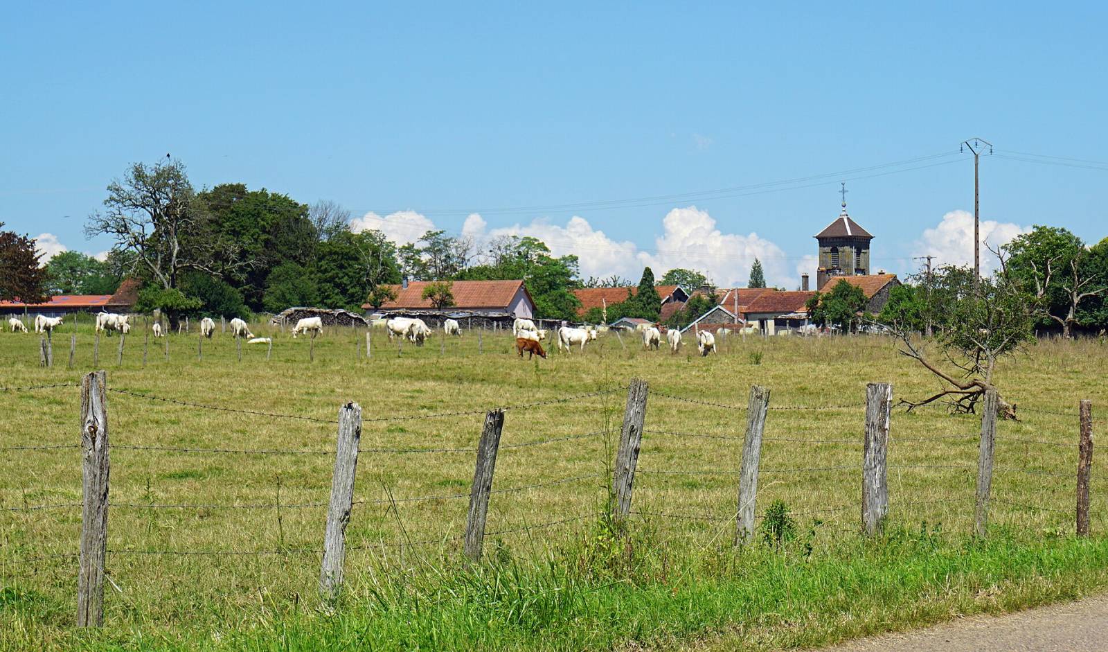 Photo de Servigney