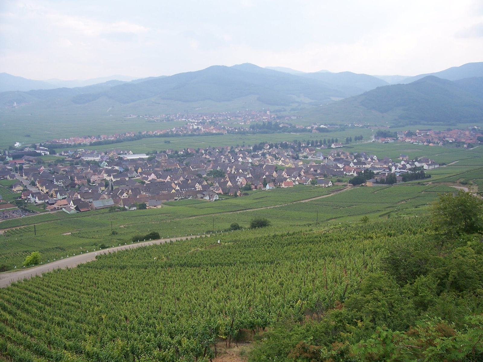 Photo de Sigolsheim