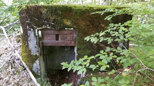Photo de Siltzheim
