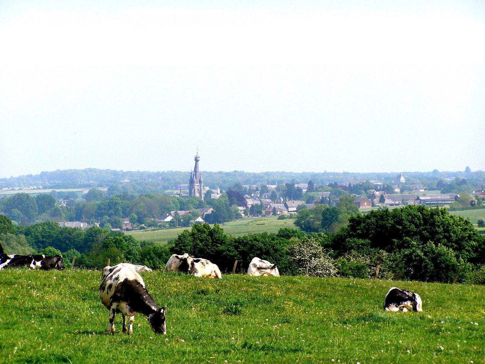 Photo de Solre-le-Château