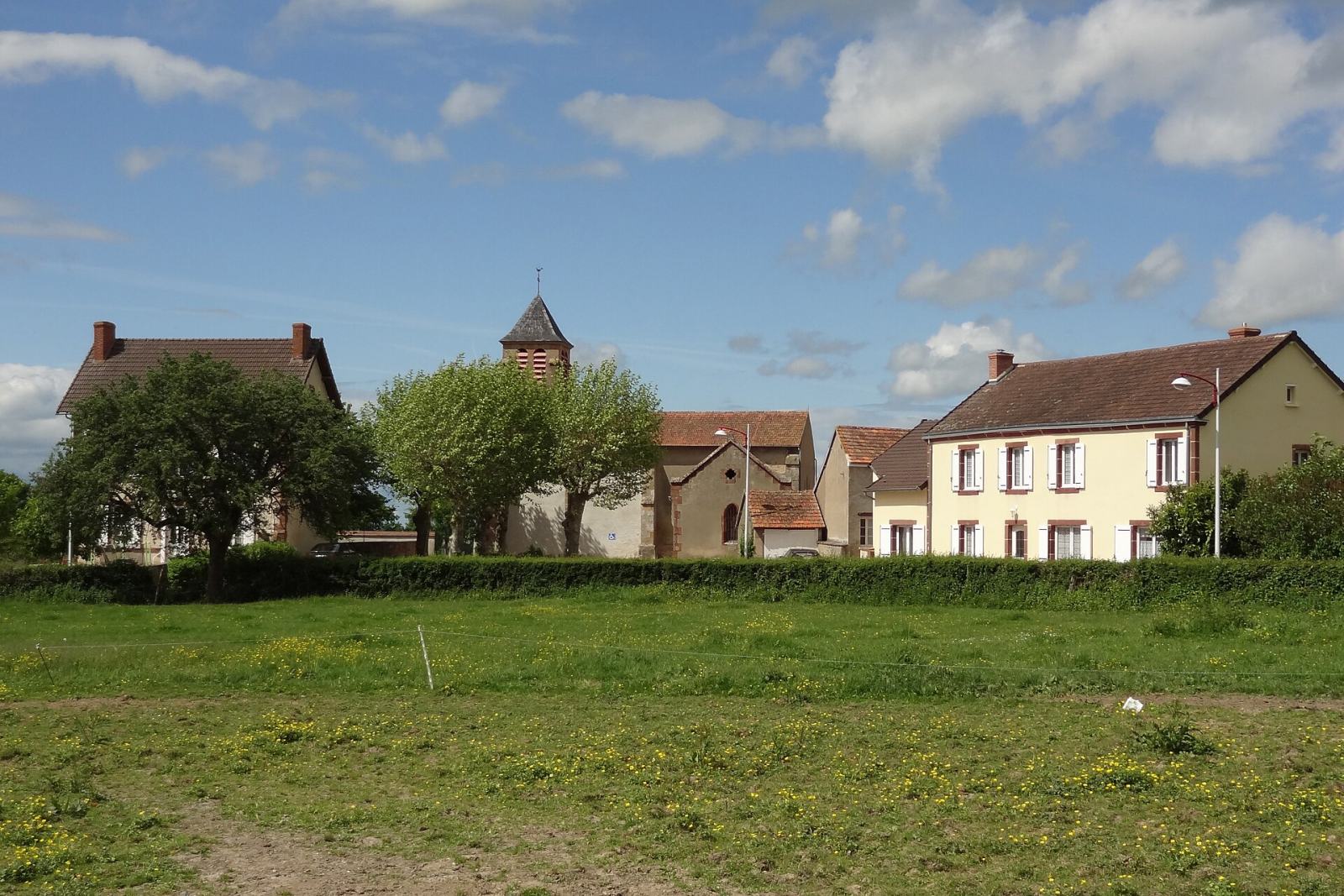 Photo de Sorbier