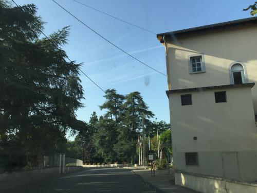 Photo de Sorbiers