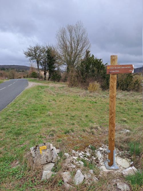 Photo de Sorbs