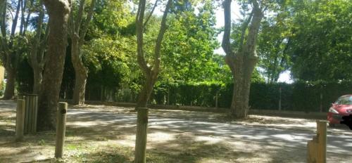 Photo de Soual