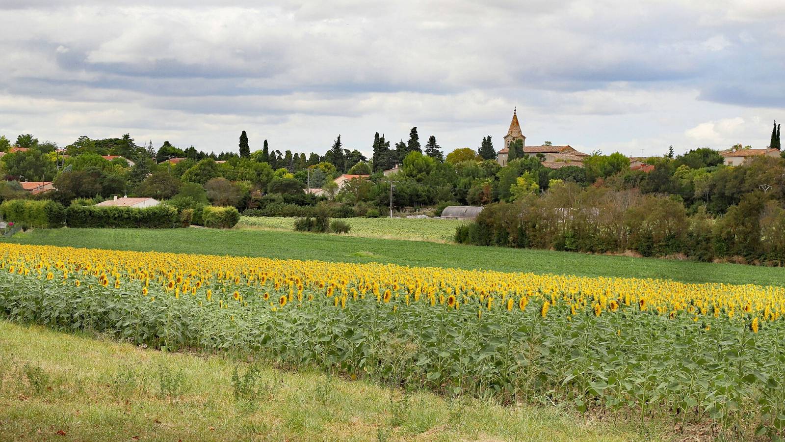 Photo de Souilhanels