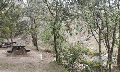 Photo de Sournia