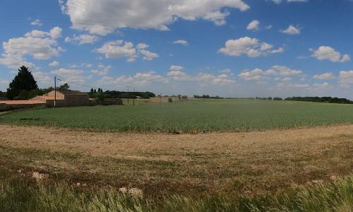 Photo de Taillant