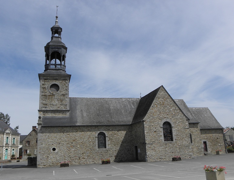 Photo de Taillis
