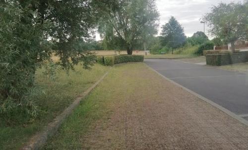 Photo de Tancrou
