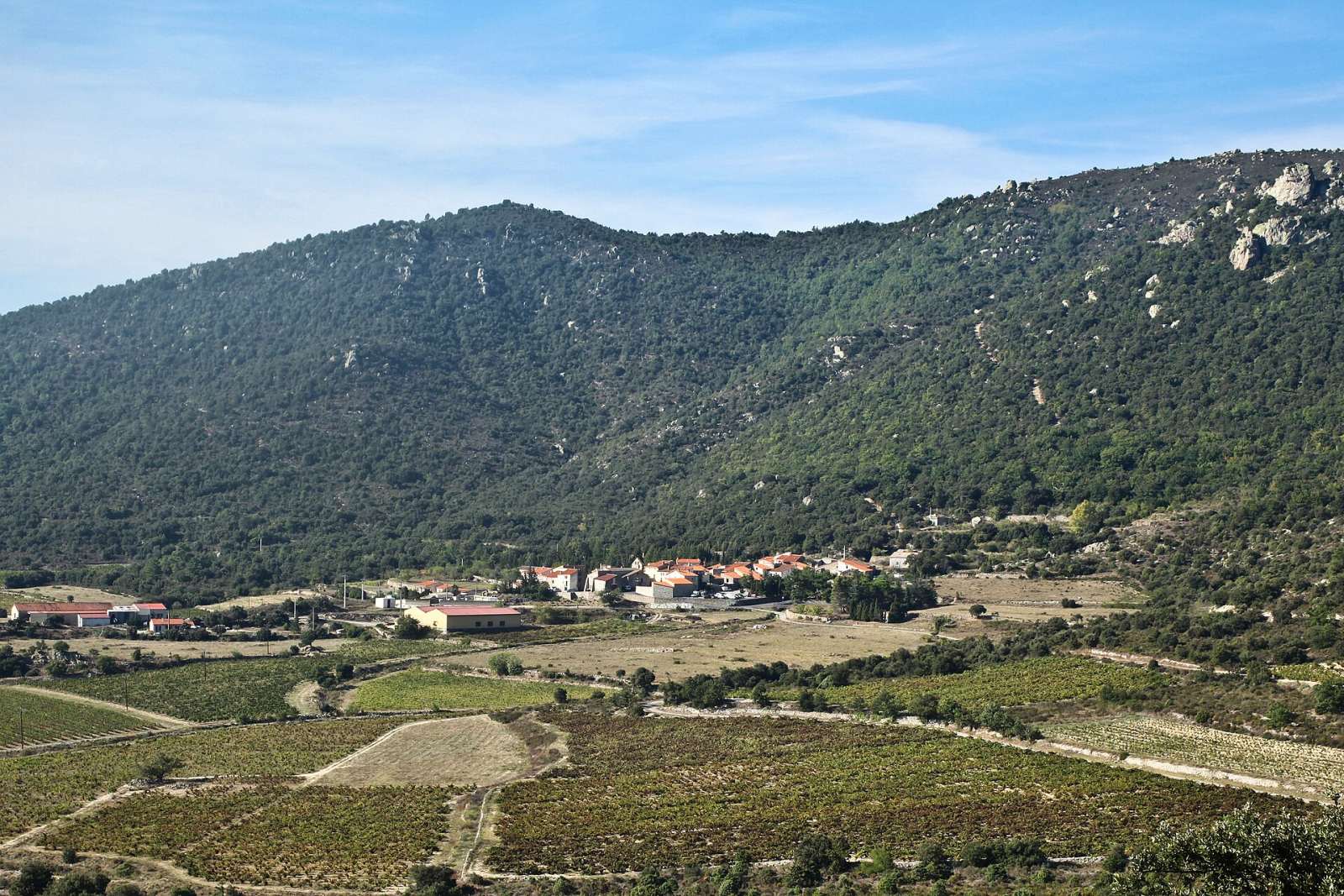 Photo de Tarerach