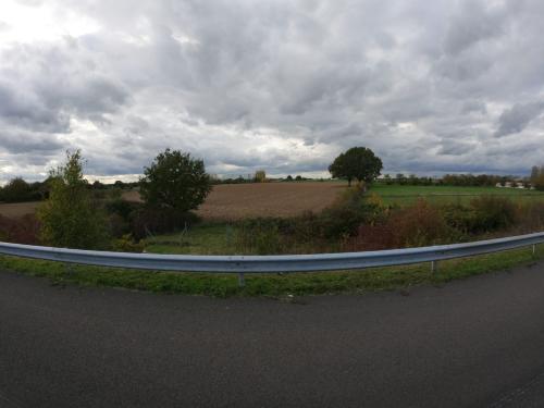 Photo de Tassé