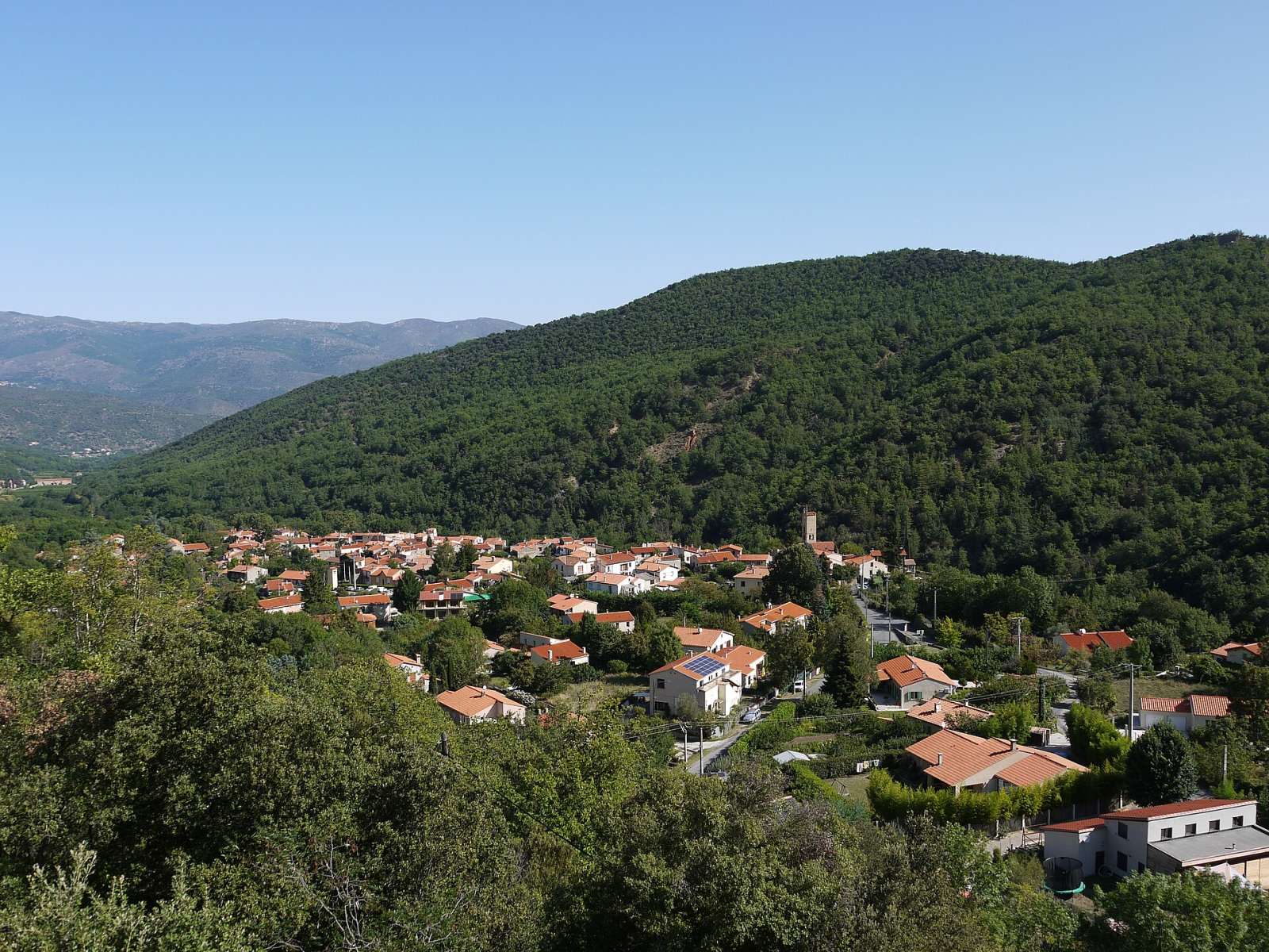 Photo de Taurinya