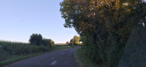 Photo de Teillé