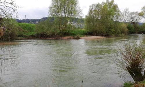 Photo de Termes