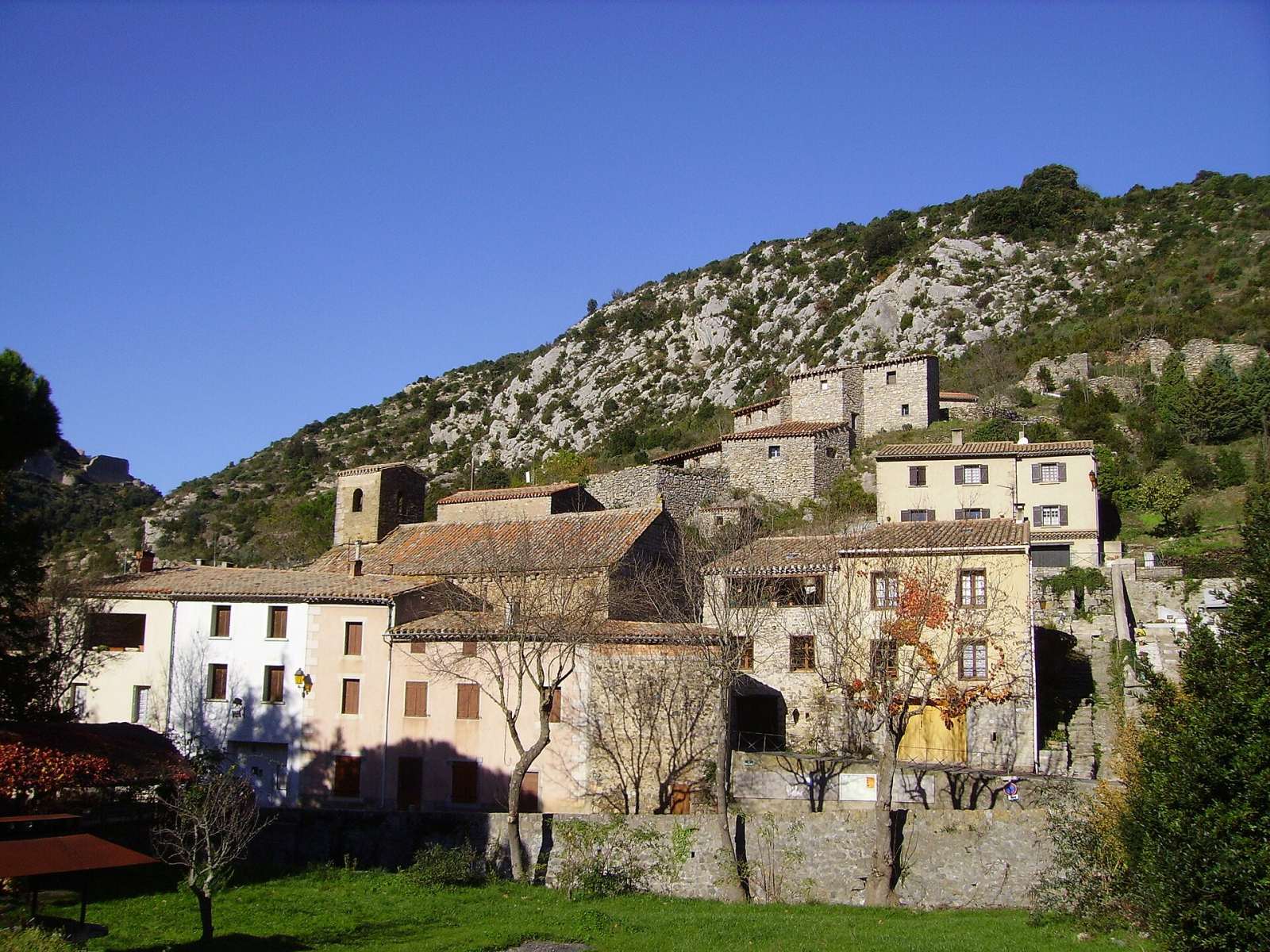 Photo de Termes