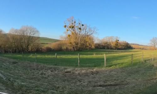 Photo de Thézey-Saint-Martin