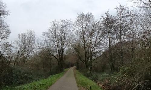 Photo de Thouars-sur-Garonne