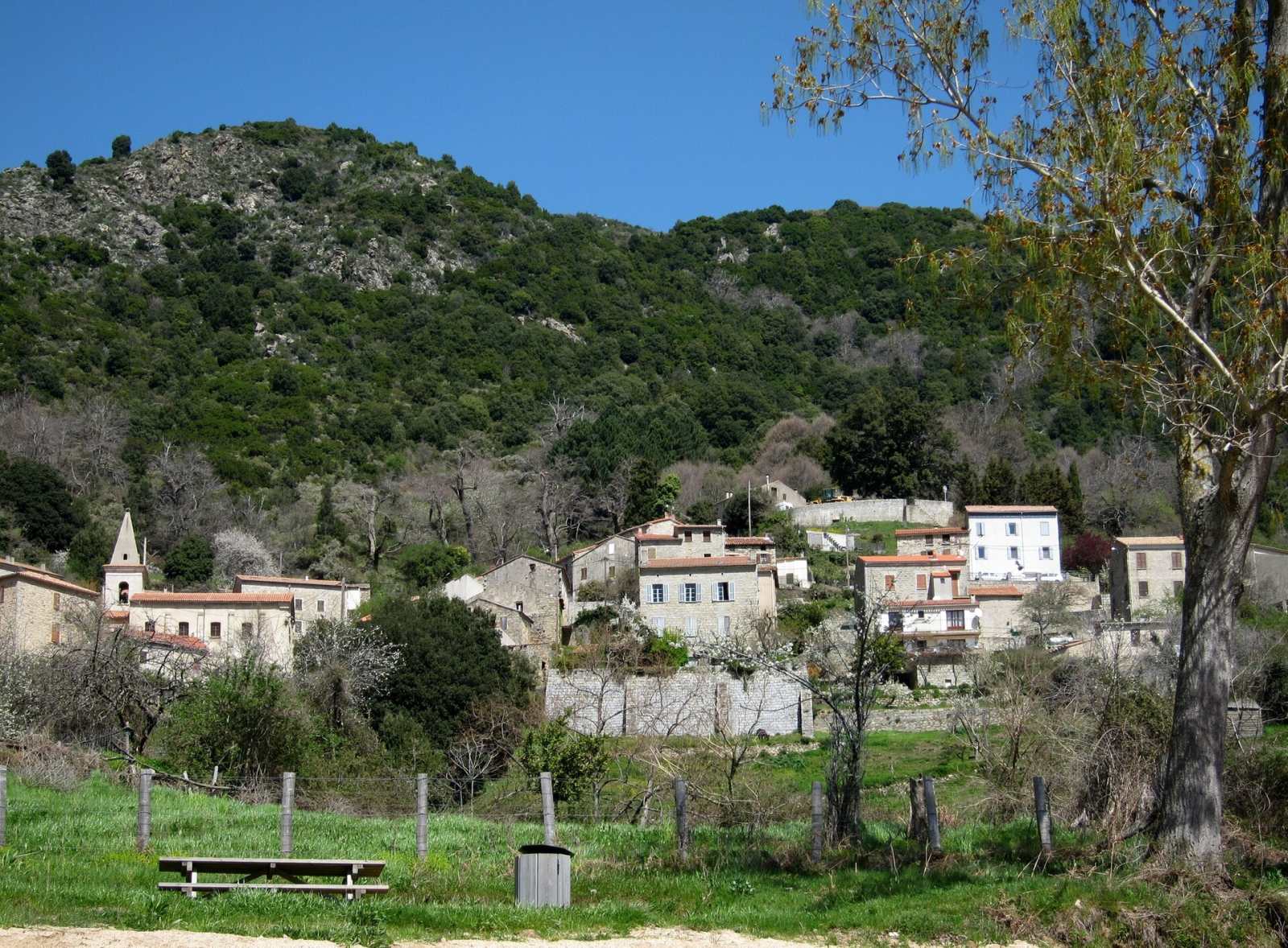 Photo de Tolla