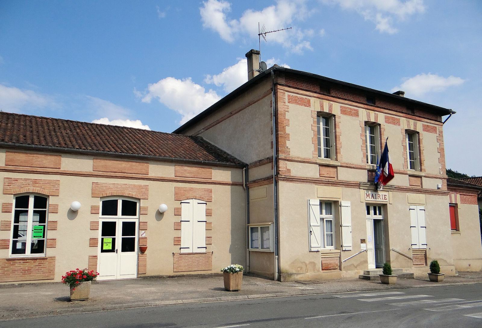 Photo de Touffailles
