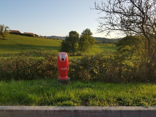 Photo de Toulouse-le-Château