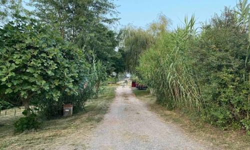 Photo de Tour