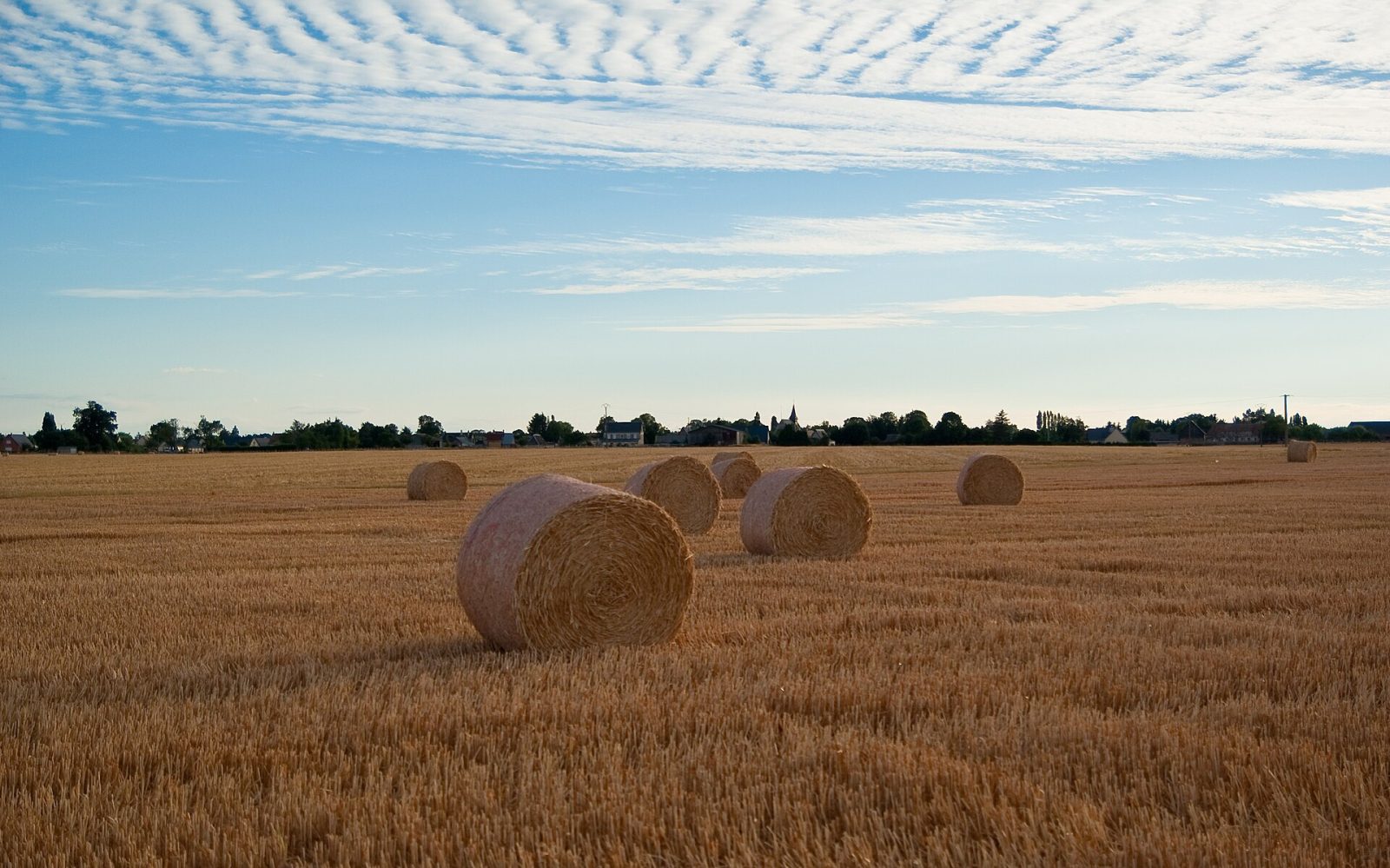 Photo de Tournedos-Bois-Hubert