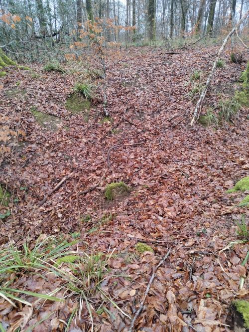 Photo de Tremblois-lès-Carignan