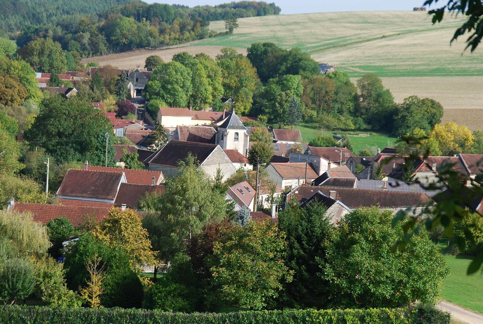 Photo de Trichey