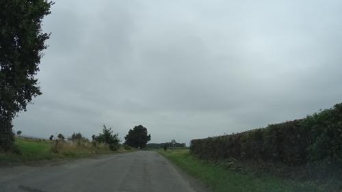 Photo de Trimer