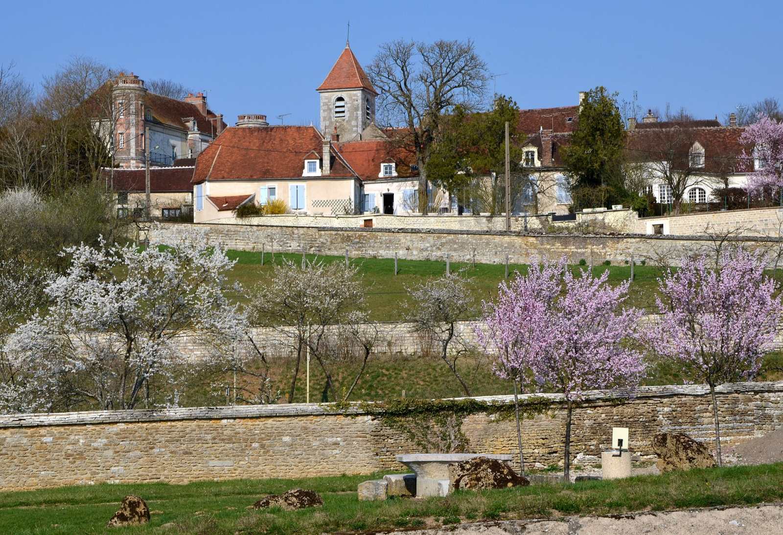 Photo de Tronchoy