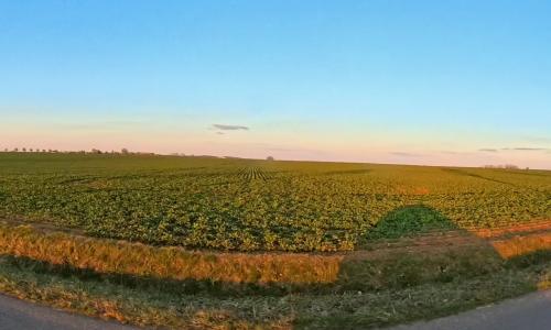 Photo de Tronville