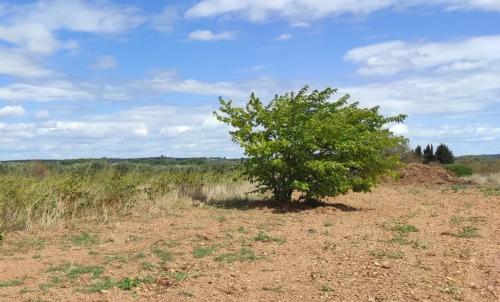 Photo de Usclas-d'Hérault