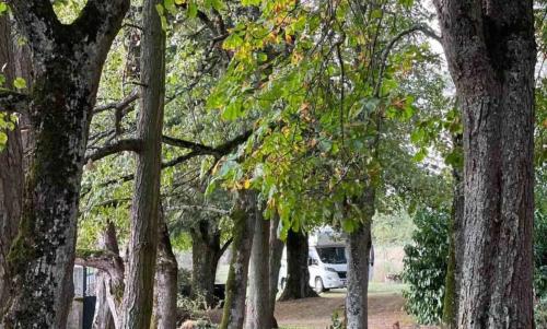 Photo de Uxeau