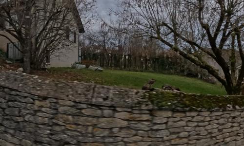 Photo de Vaire-le-Petit