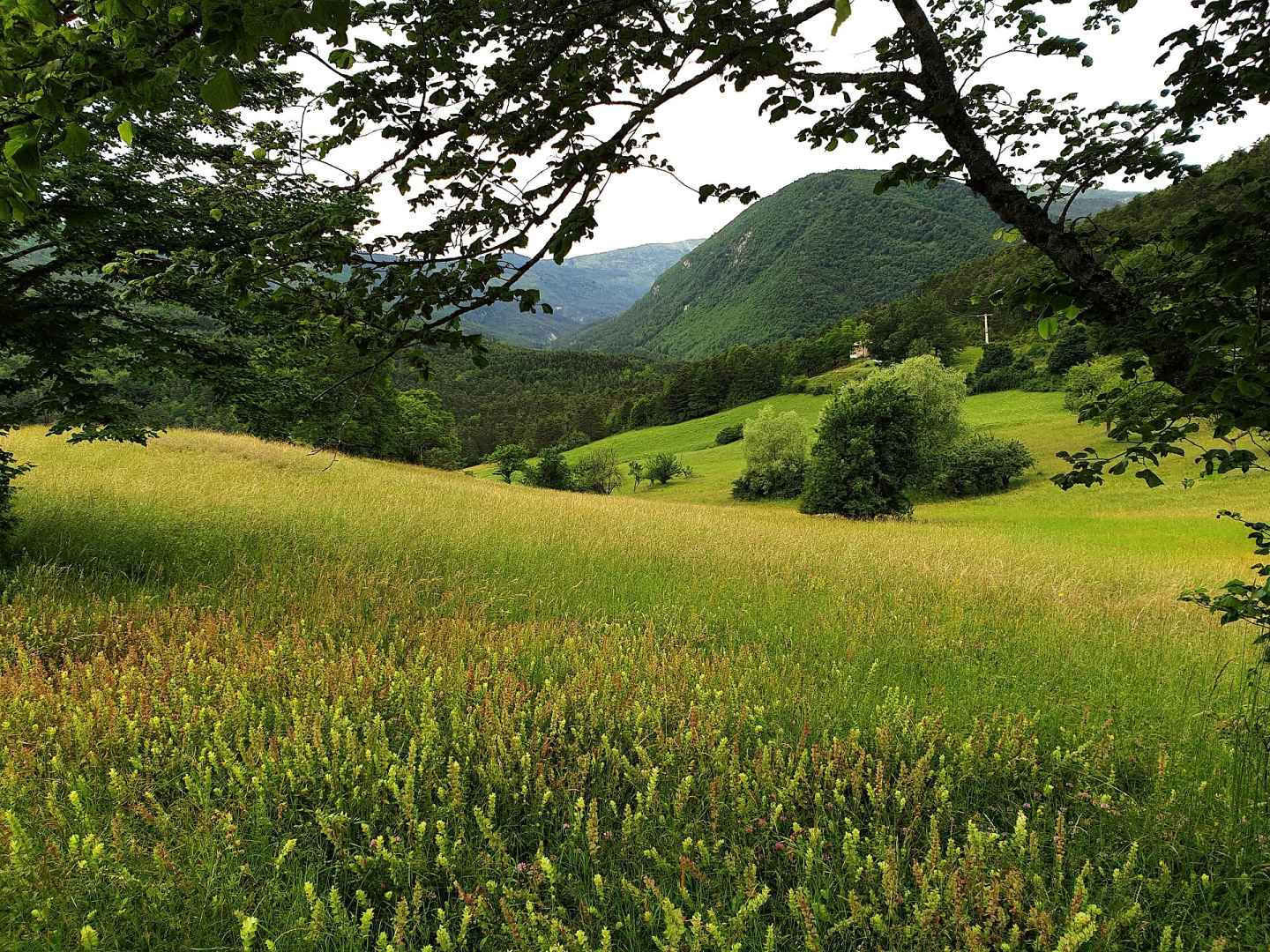 Photo de Val-de-Chalvagne