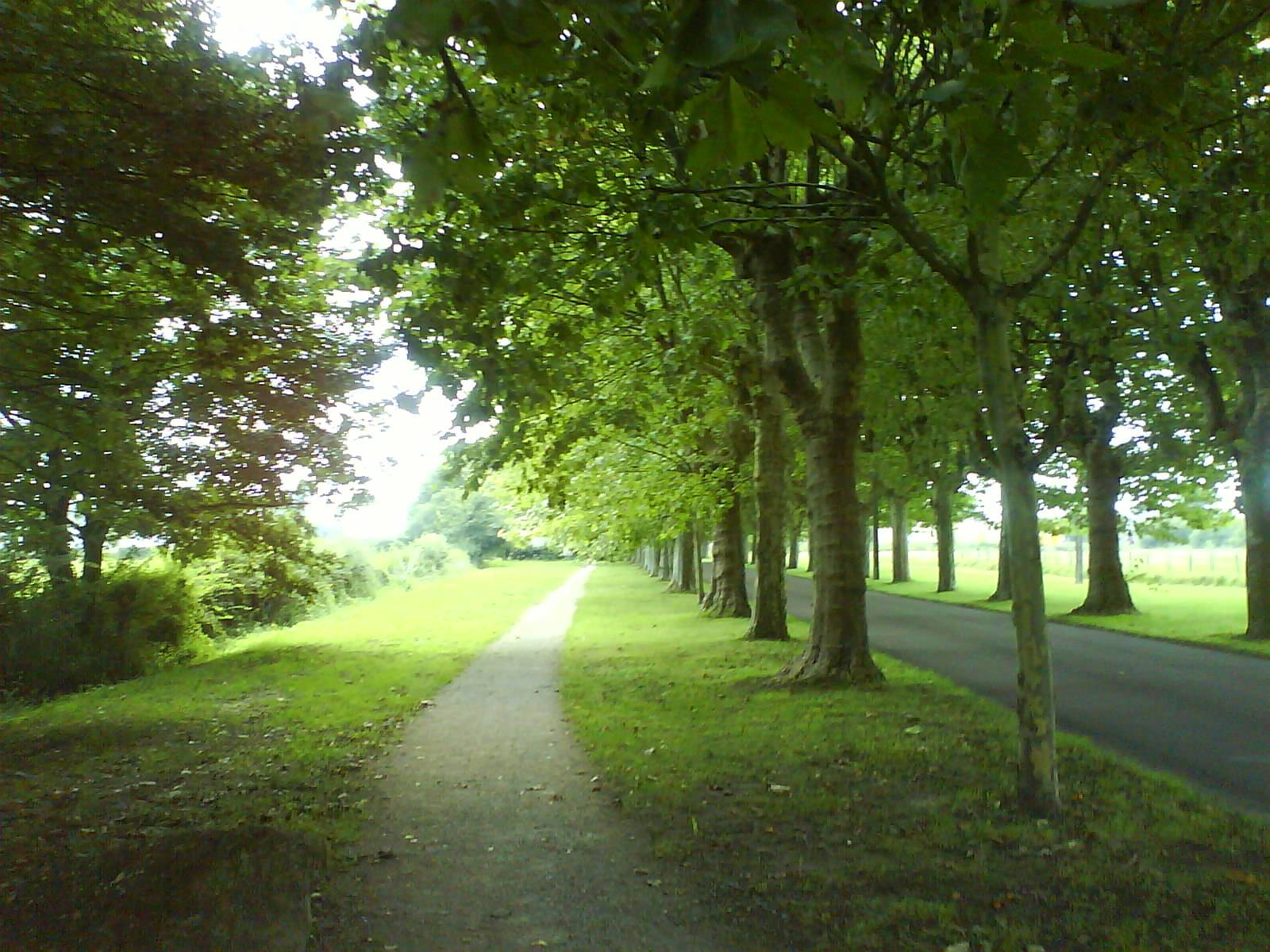 Photo de Varennes-le-Grand