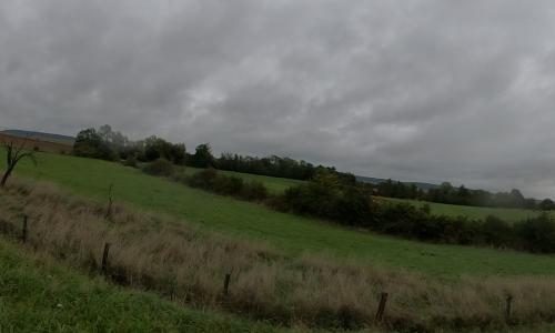 Photo de Vaxy