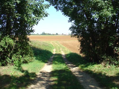 Photo de Velaine-en-Haye