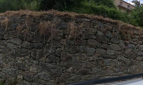 Photo de Venaco