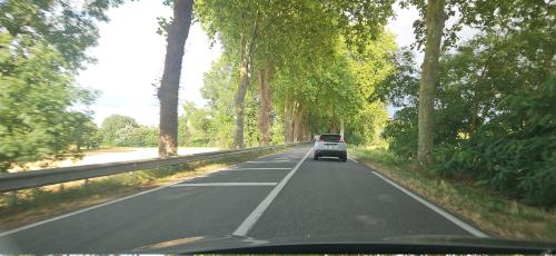 Photo de Vendine