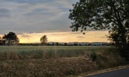 Photo de Verdalle