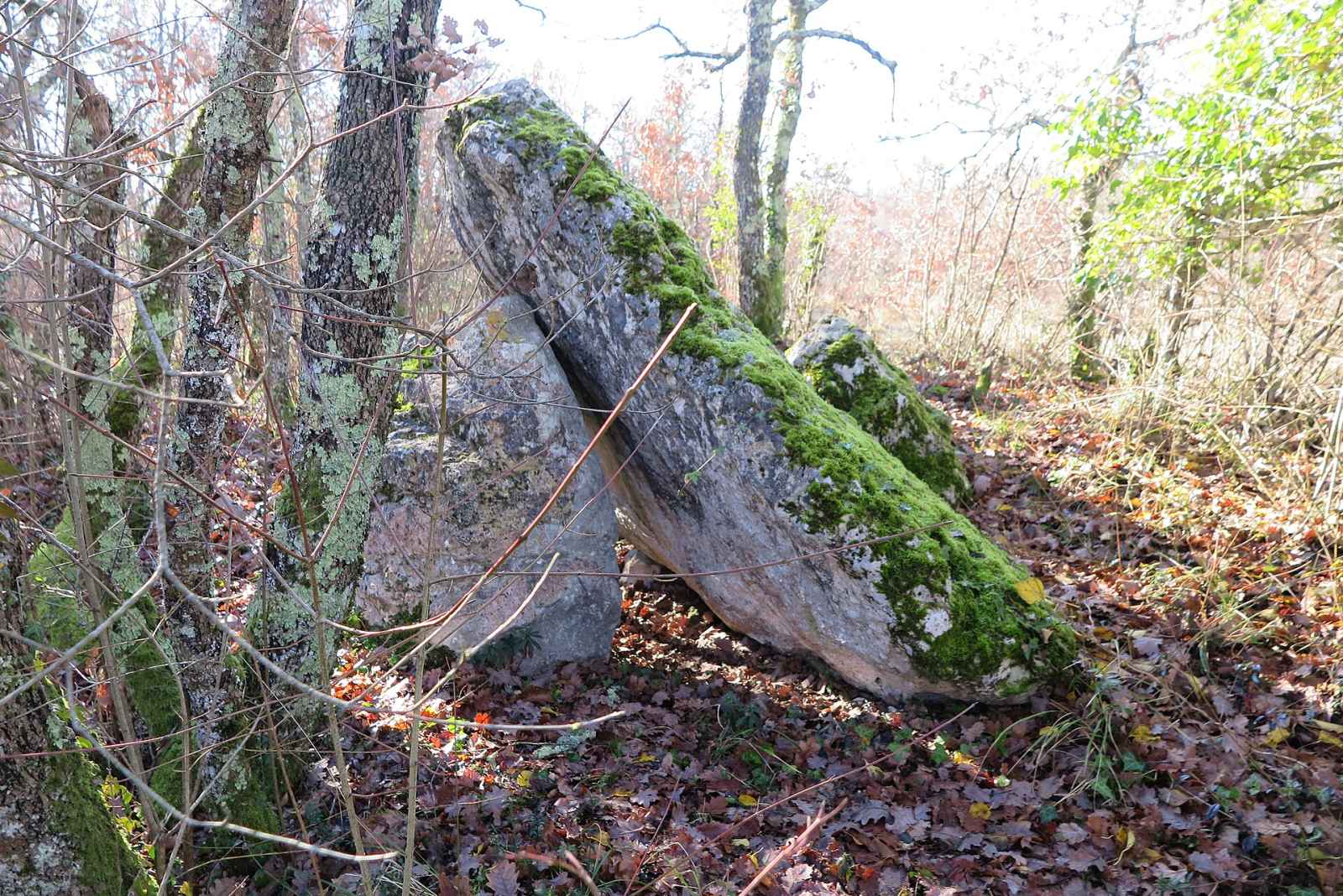 Photo de Le Verdier